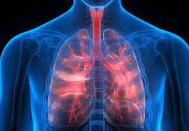 Homeopathic solutions for Respiratory Disorder